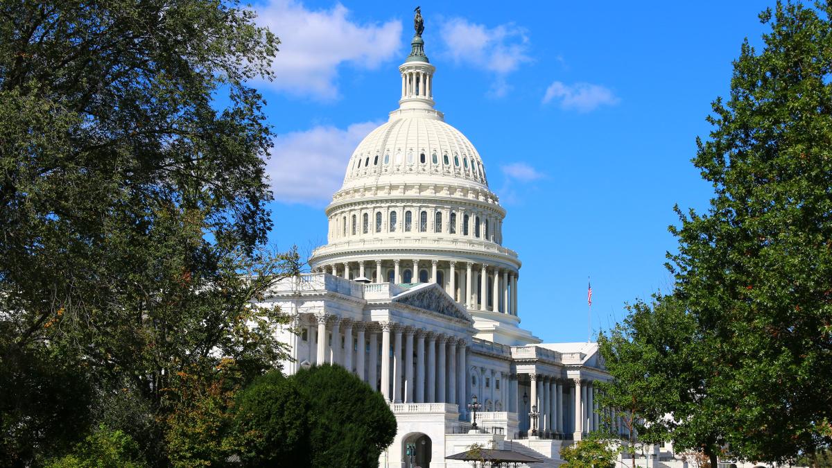 Tree lined side of the Capitol building
