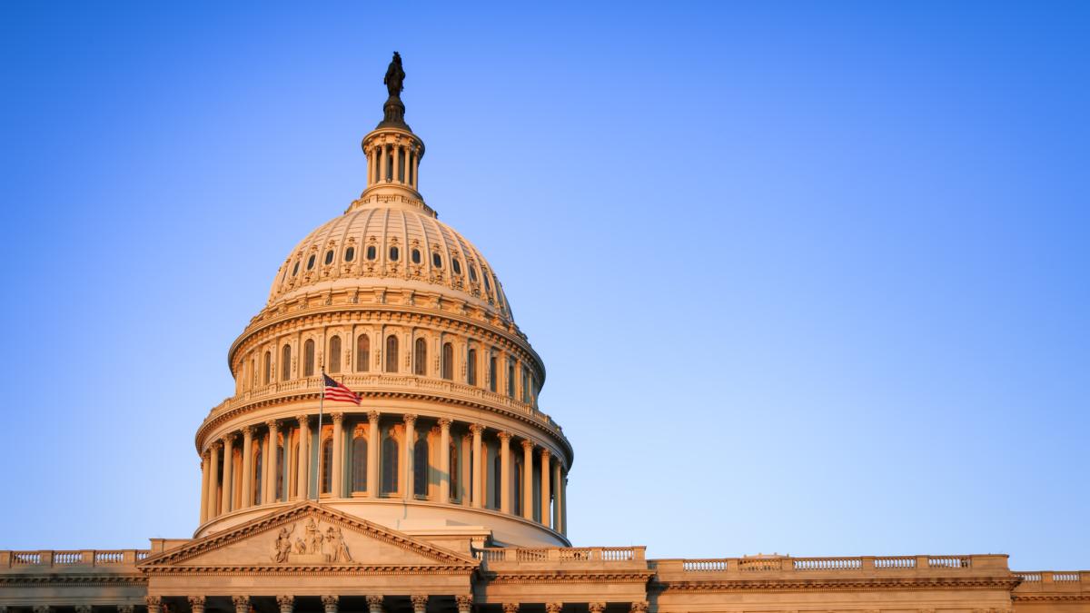 Capitol Dawn Large.jpeg