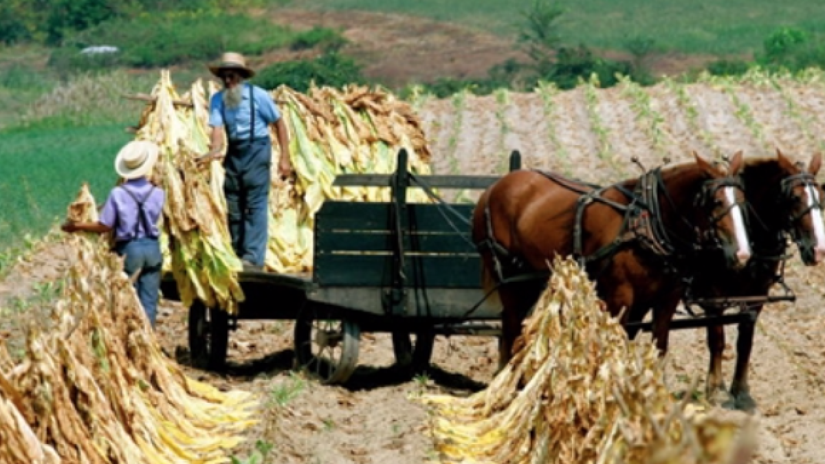 Screen Shot 2019 12 03 at 5.51.19 PM 