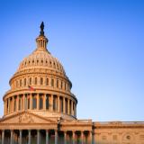 Capitol Dawn Large.jpeg