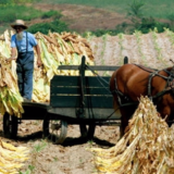 Screen Shot 2019 12 03 at 5.51.19 PM 