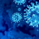 Image of the corona virus