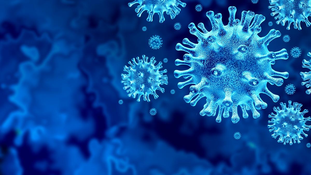 Image of the corona virus