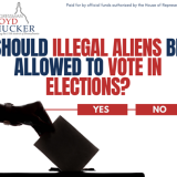Should illegal aliens be allowed to vote in elections?
