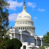 Tree lined side of the Capitol building